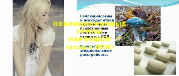 дмт Богданович