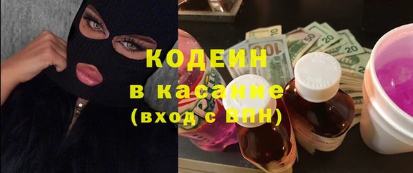 дмт Богданович