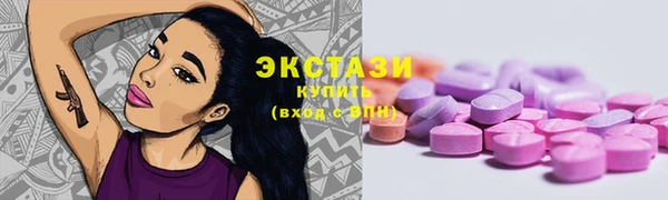 дмт Богданович