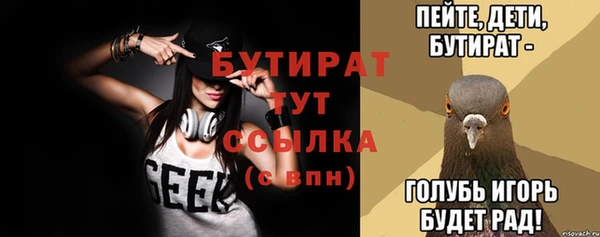 дмт Богданович
