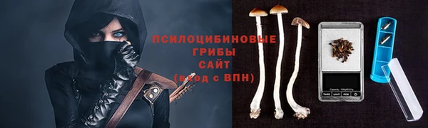 MESCALINE Богородицк