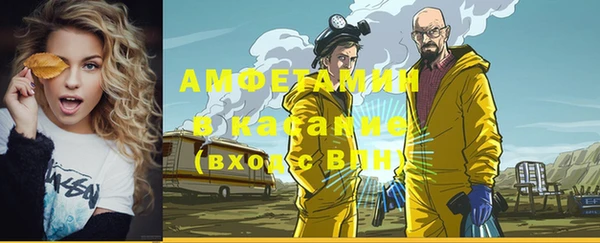 дмт Богданович